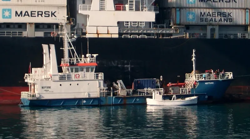 NEPTUNE General Cargo IMO 8101563 photo 3