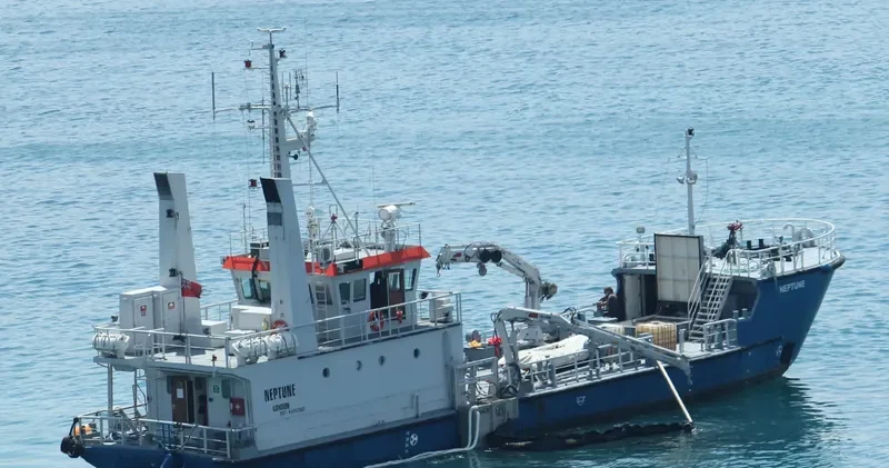 NEPTUNE General Cargo IMO 8101563 photo 10