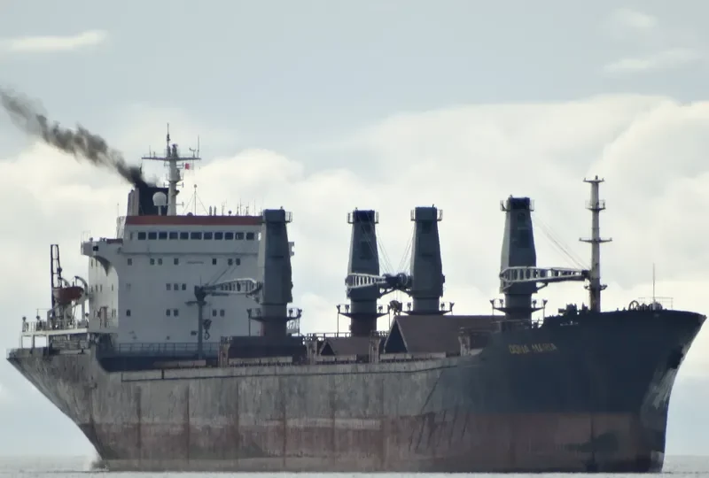DONA MARIA Bulk Carrier IMO 8101941