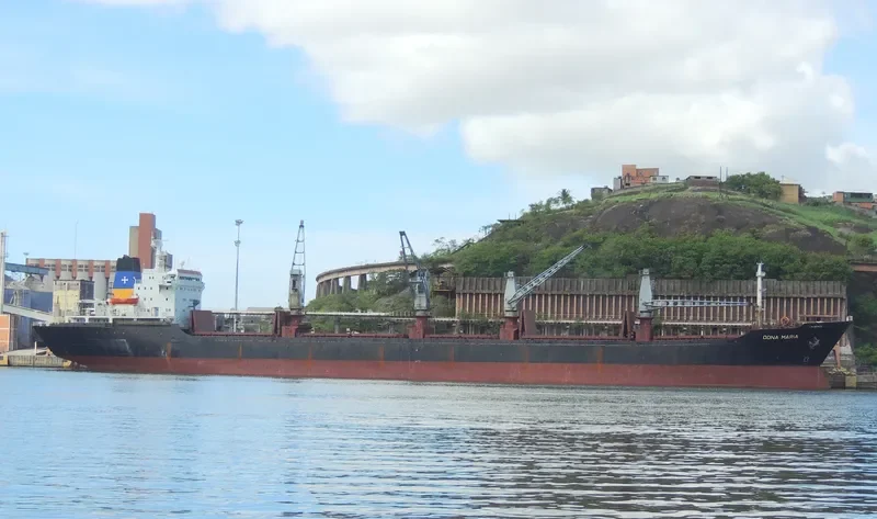 DONA MARIA Bulk Carrier IMO 8101941 photo 2