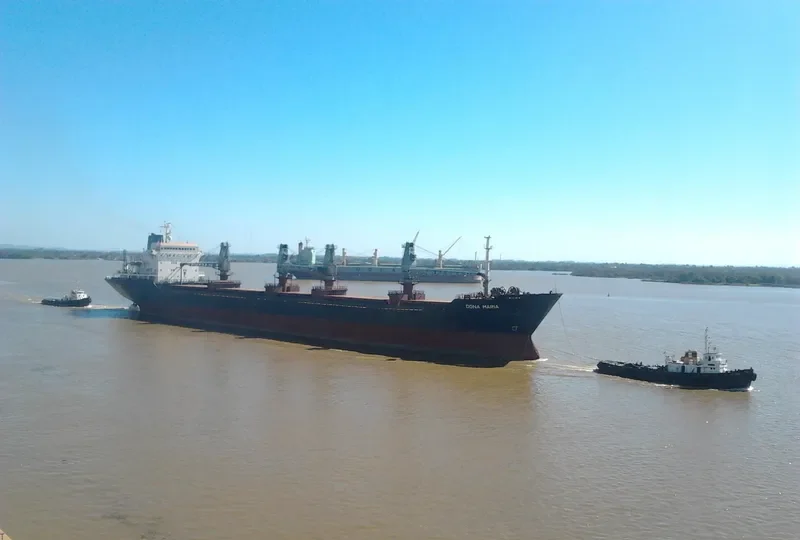 DONA MARIA Bulk Carrier IMO 8101941 photo 4