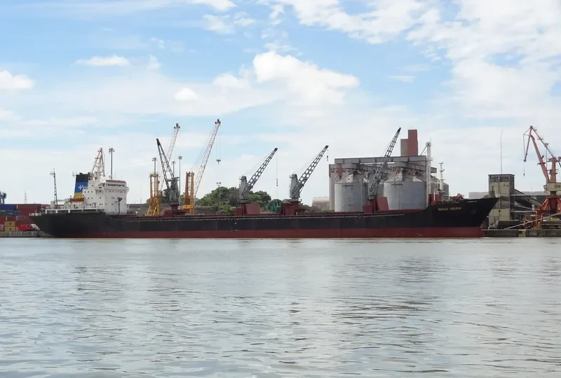 DONA MARIA Bulk Carrier IMO 8101941 photo 6