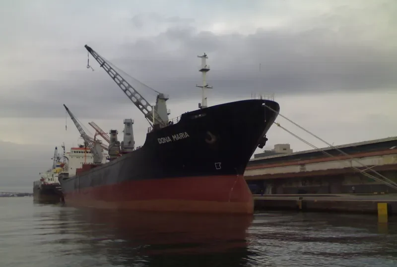 DONA MARIA Bulk Carrier IMO 8101941 photo 9