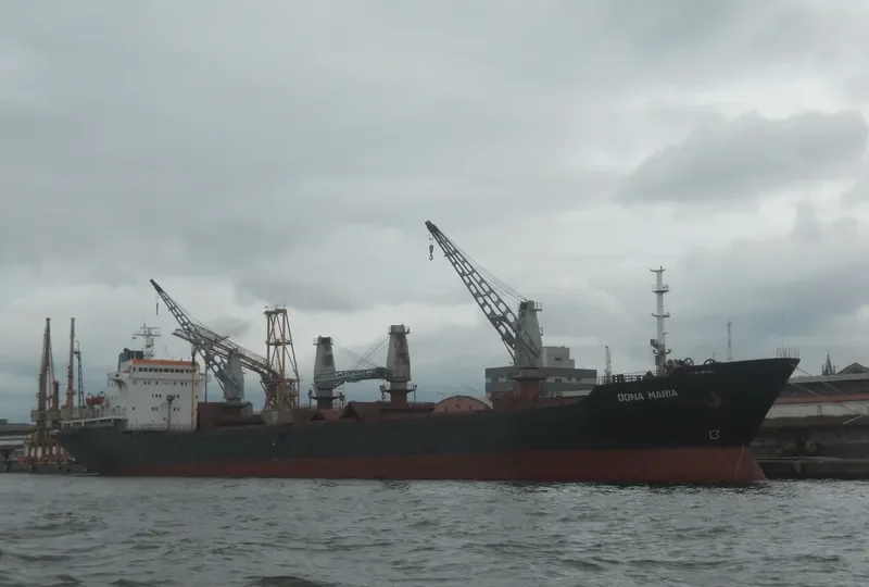 DONA MARIA Bulk Carrier IMO 8101941 photo 10