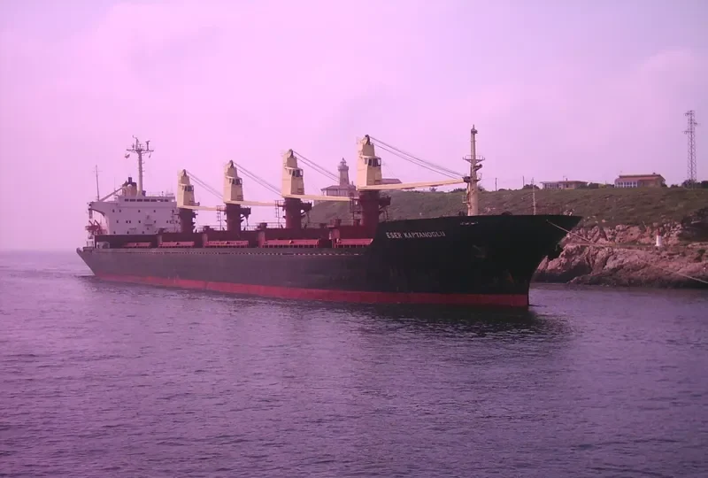 ULA Bulk Carrier IMO 8102414 photo 4