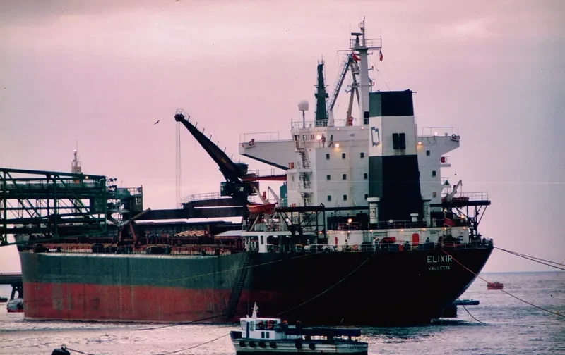 HAMBURG PEARL Bulk Carrier IMO 8102751