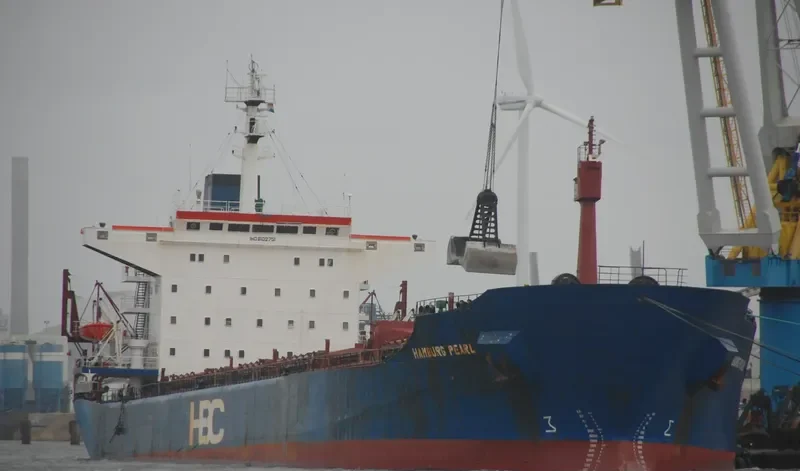 HAMBURG PEARL Bulk Carrier IMO 8102751 photo 2