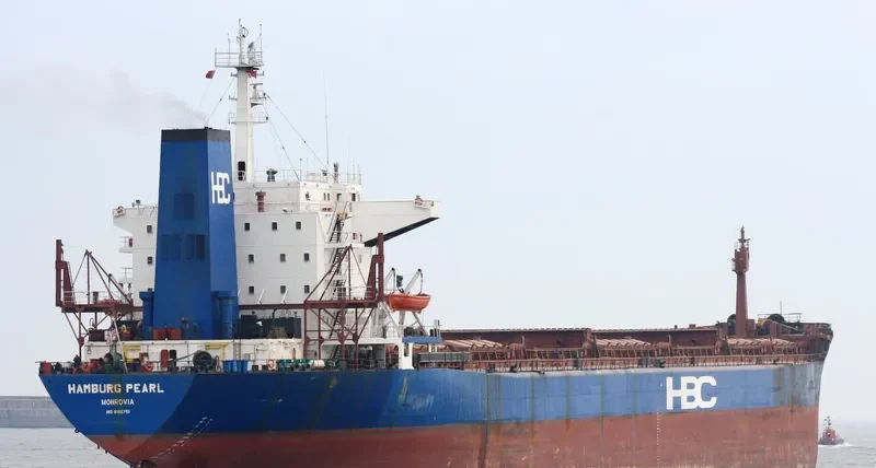 HAMBURG PEARL Bulk Carrier IMO 8102751 photo 3