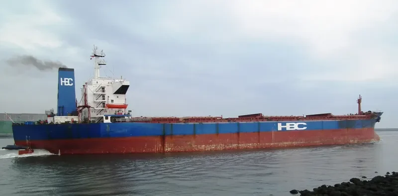 HAMBURG PEARL Bulk Carrier IMO 8102751 photo 4