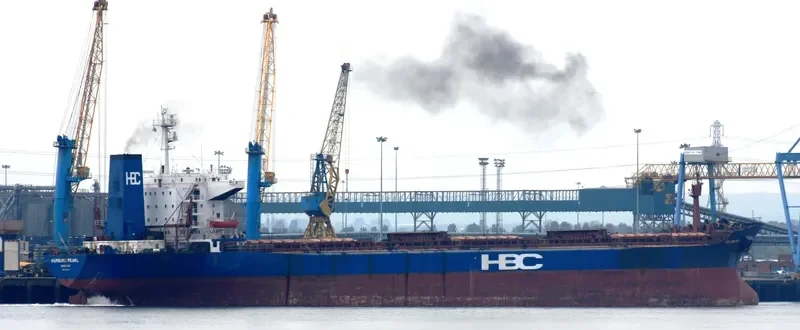 HAMBURG PEARL Bulk Carrier IMO 8102751 photo 6