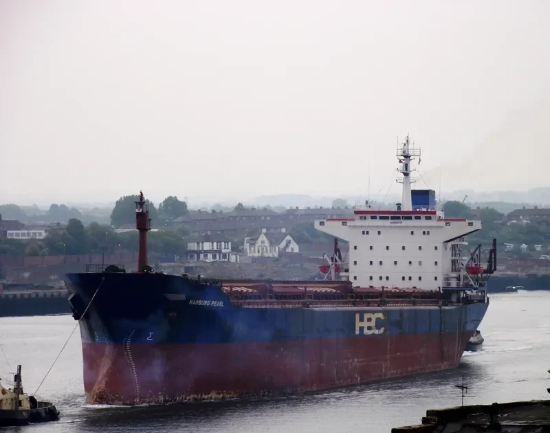 HAMBURG PEARL Bulk Carrier IMO 8102751 photo 7