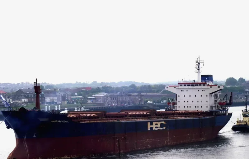HAMBURG PEARL Bulk Carrier IMO 8102751 photo 8