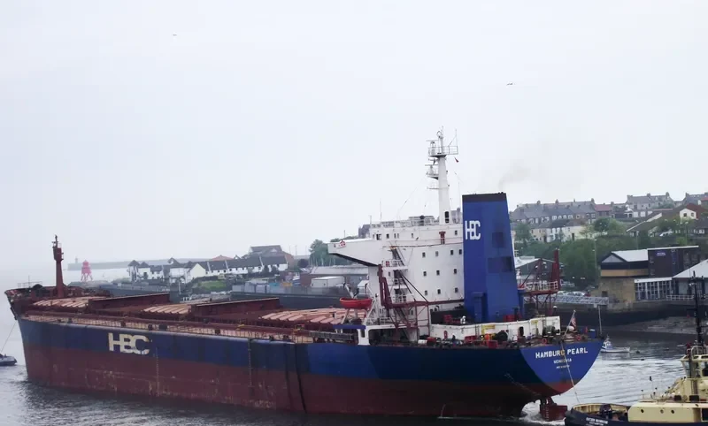HAMBURG PEARL Bulk Carrier IMO 8102751 photo 9