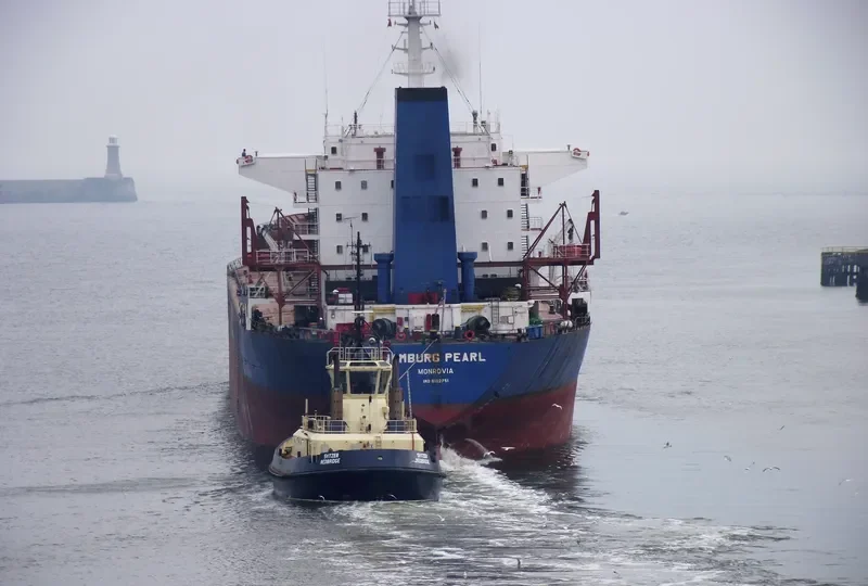 HAMBURG PEARL Bulk Carrier IMO 8102751 photo 10