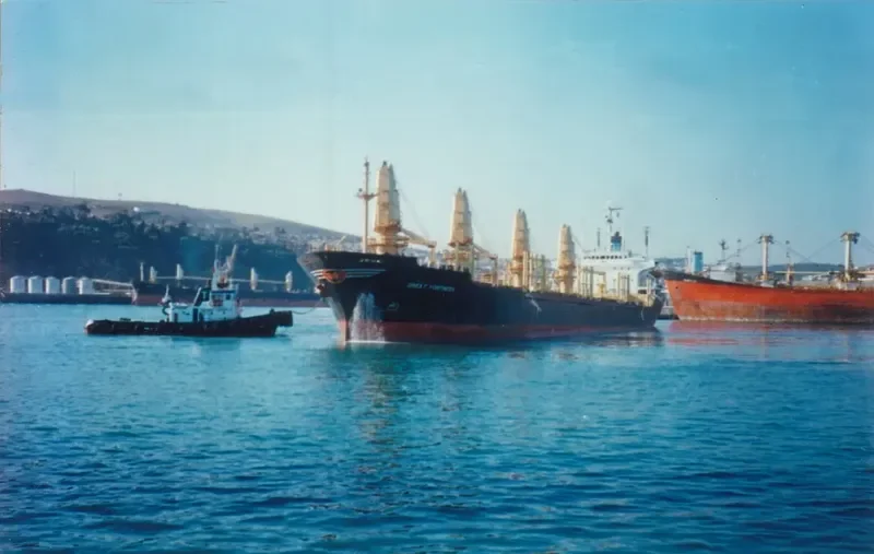 OCEAN STAR Bulk Carrier IMO 8103183 photo 2