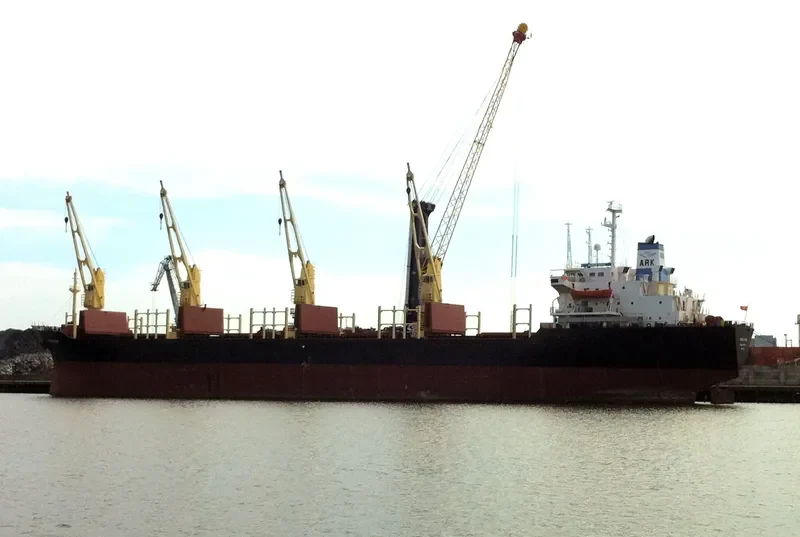 OCEAN STAR Bulk Carrier IMO 8103183 photo 4