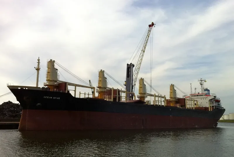 OCEAN STAR Bulk Carrier IMO 8103183 photo 5