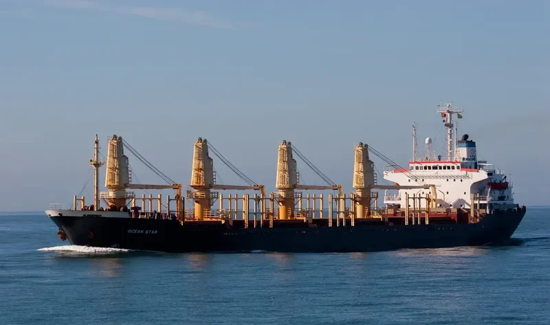 OCEAN STAR Bulk Carrier IMO 8103183 photo 7