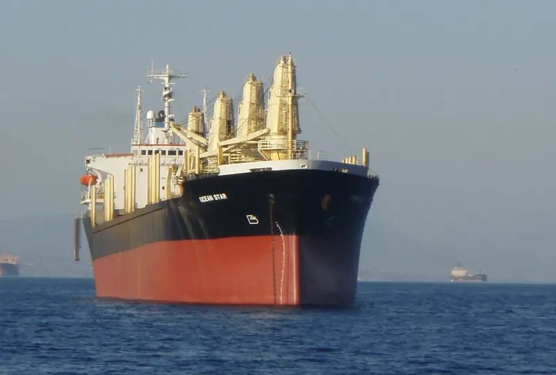 OCEAN STAR Bulk Carrier IMO 8103183 photo 8