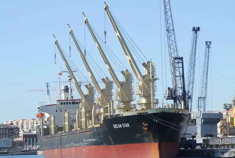 OCEAN STAR Bulk Carrier IMO 8103183 photo 9