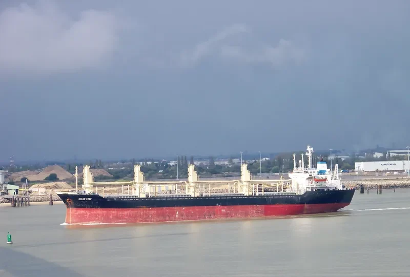 OCEAN STAR Bulk Carrier IMO 8103183 photo 10