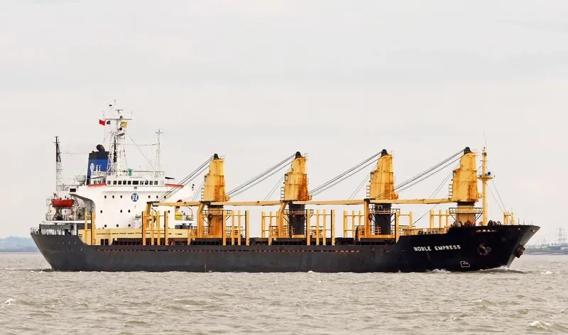 AMIRA MARIAM Bulk Carrier IMO 8103195