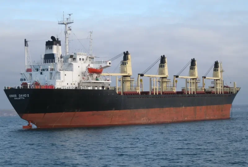 AMIRA MARIAM Bulk Carrier IMO 8103195 photo 2