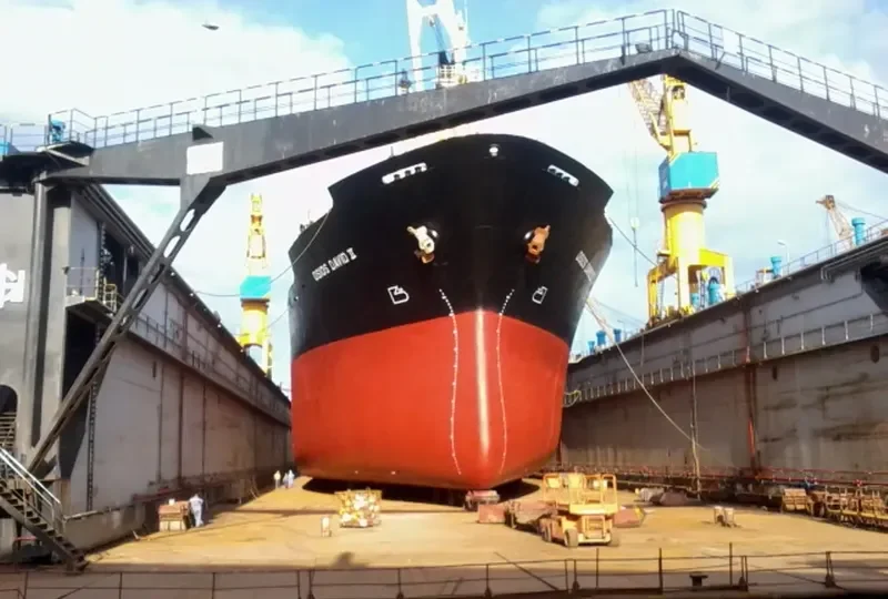 AMIRA MARIAM Bulk Carrier IMO 8103195 photo 3
