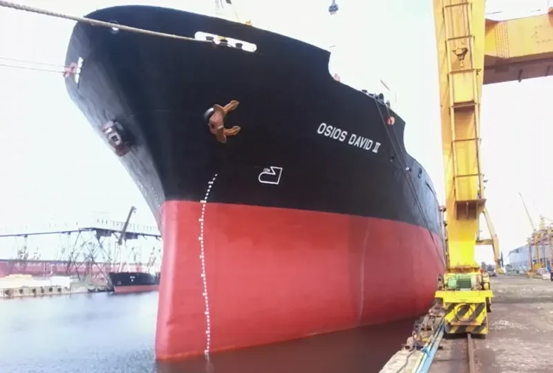 AMIRA MARIAM Bulk Carrier IMO 8103195 photo 4