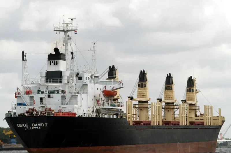 AMIRA MARIAM Bulk Carrier IMO 8103195 photo 6
