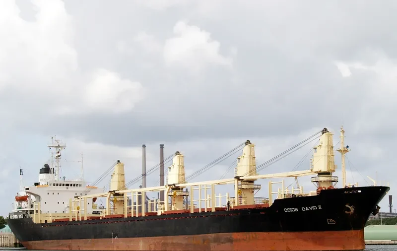AMIRA MARIAM Bulk Carrier IMO 8103195 photo 7