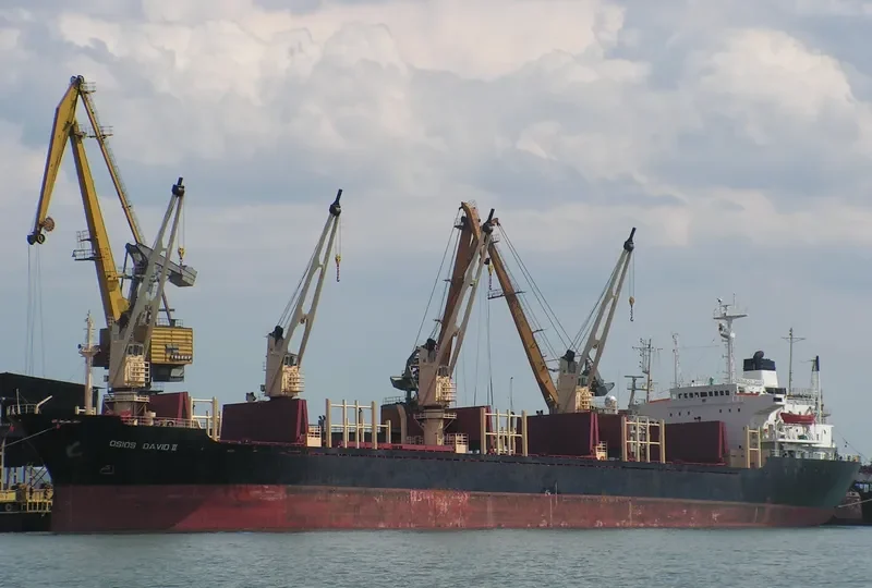 AMIRA MARIAM Bulk Carrier IMO 8103195 photo 8