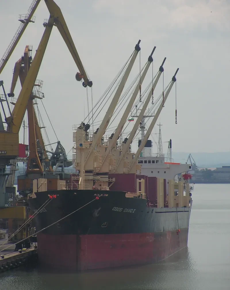 AMIRA MARIAM Bulk Carrier IMO 8103195 photo 9