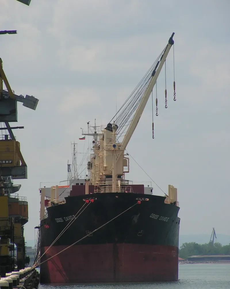 AMIRA MARIAM Bulk Carrier IMO 8103195 photo 10