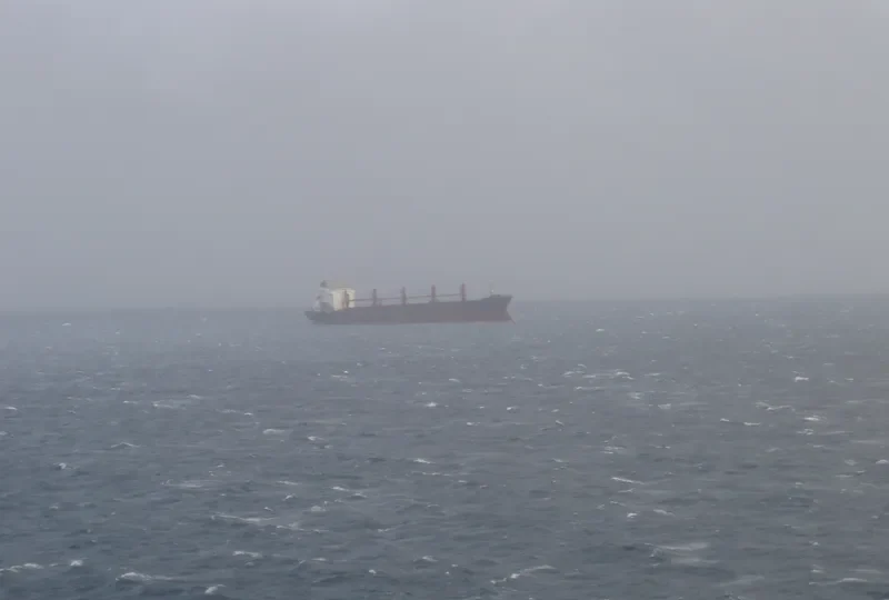 BLUE MARINER Bulk Carrier IMO 8103286