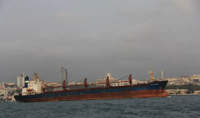 BLUE MARINER Bulk Carrier IMO 8103286 photo 2