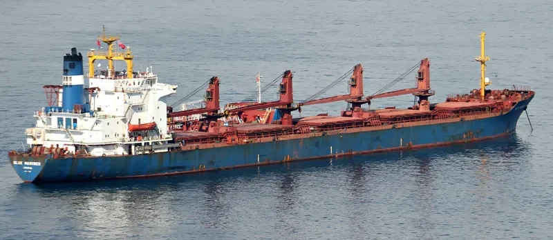 BLUE MARINER Bulk Carrier IMO 8103286 photo 3