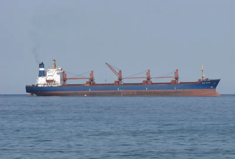 BLUE MARINER Bulk Carrier IMO 8103286 photo 6