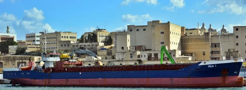 VELA 1 General Cargo IMO 8104539 photo 6