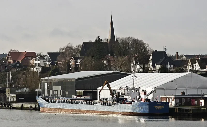 TRAVEBERG General Cargo IMO 8104541 photo 2
