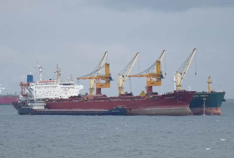 BREMEN Bulk Carrier IMO 8105741 photo 2