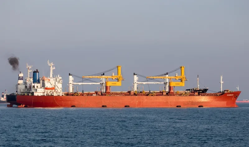 BREMEN Bulk Carrier IMO 8105741 photo 3