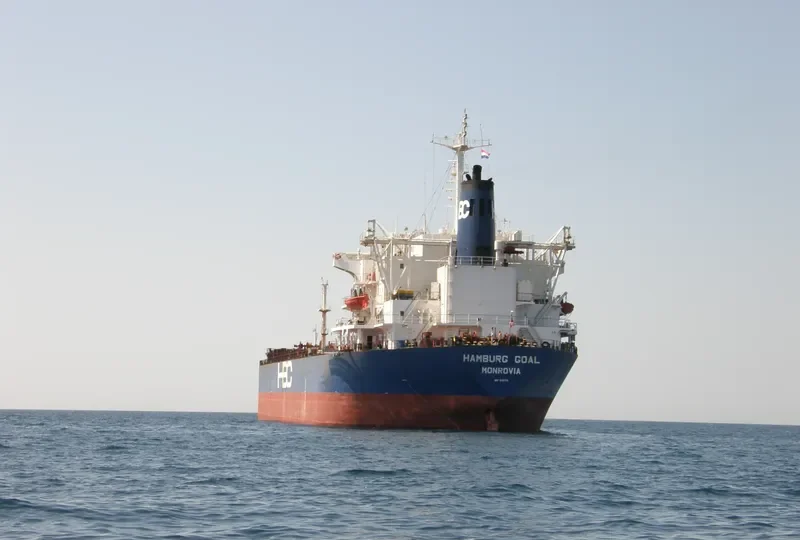 BREMEN Bulk Carrier IMO 8105741 photo 7