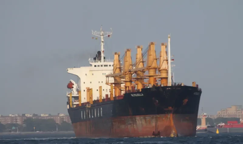 VALPOLICELLA General Cargo IMO 8105832 photo 5