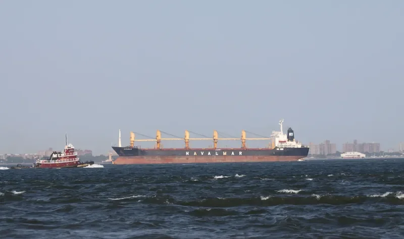 VALPOLICELLA General Cargo IMO 8105832 photo 8