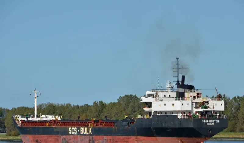 ALI S General Cargo IMO 8107000 photo 6