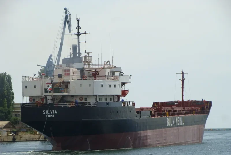 ALI S General Cargo IMO 8107000 photo 7