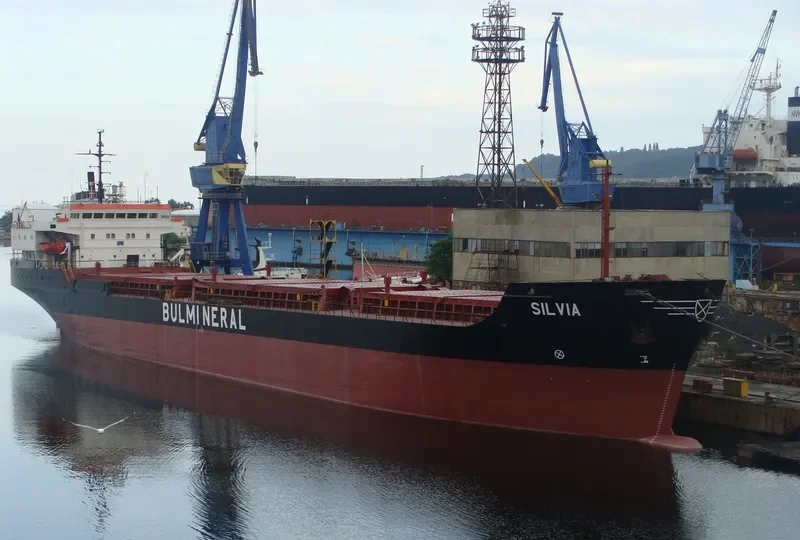ALI S General Cargo IMO 8107000 photo 8