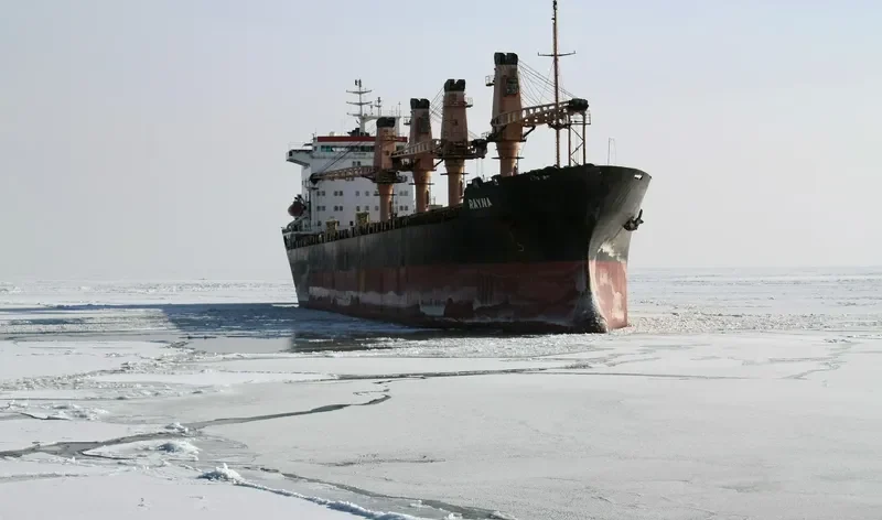 RAYNA Bulk Carrier IMO 8107311