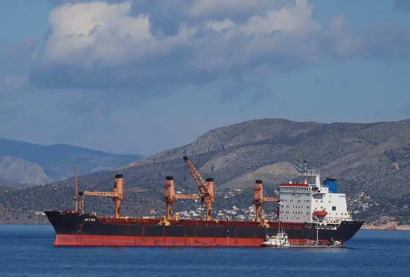 RAYNA Bulk Carrier IMO 8107311 photo 2
